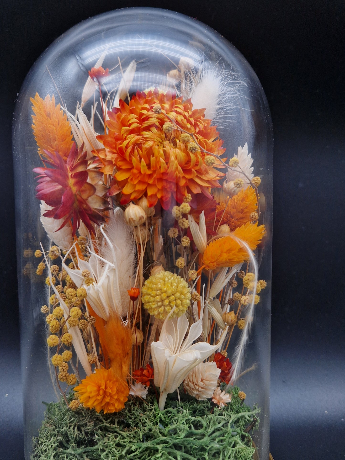 Glasglocke mit Trockenblumen Flower Dome Herbst