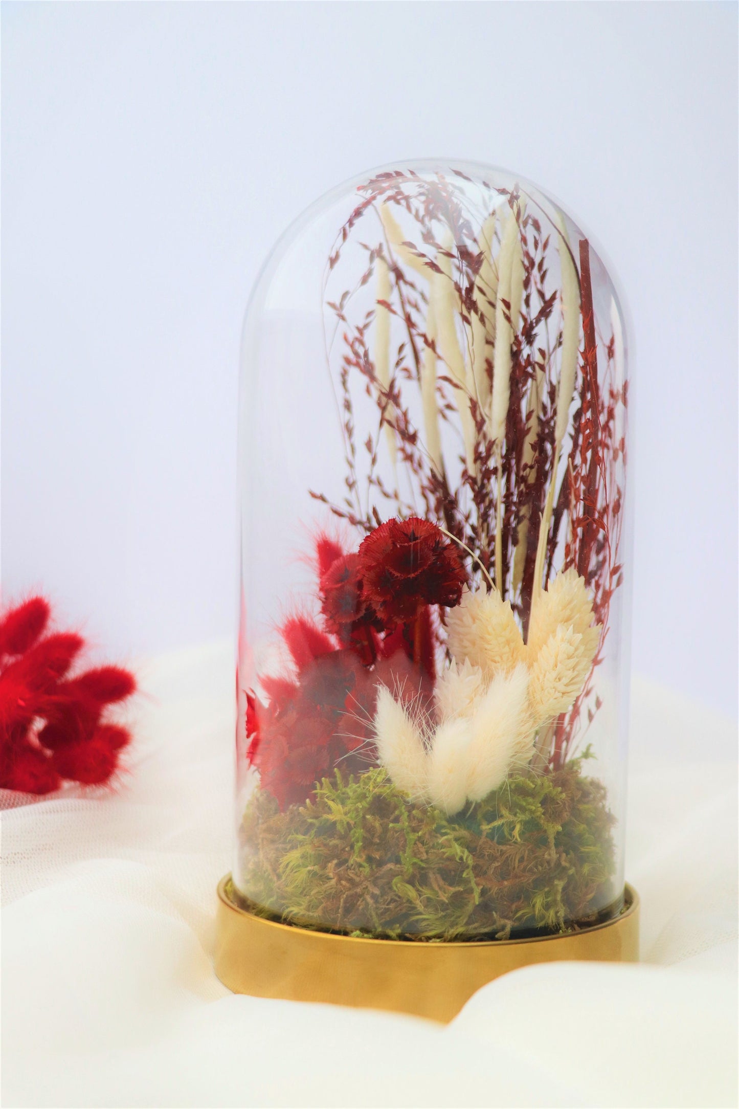 Glasglocke mit Trockenblumen Glas - Rot