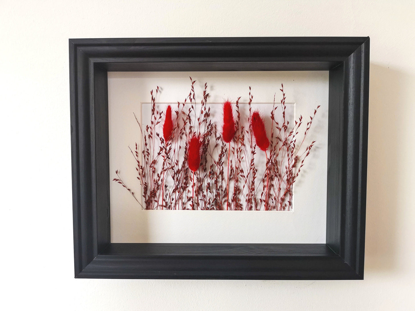 Trockenblumen in Bilderrahmen - Rot Lagurus